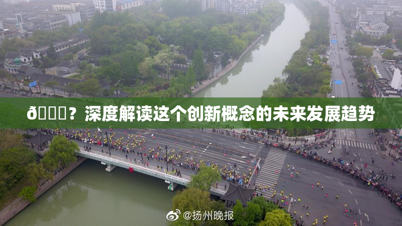 🈚？深度解读这个创新概念的未来发展趋势