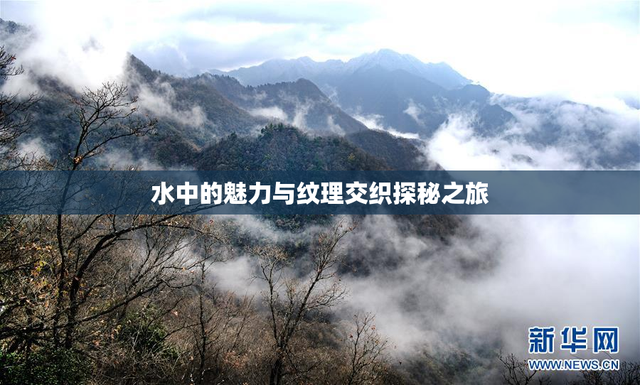 水中的魅力与纹理交织探秘之旅