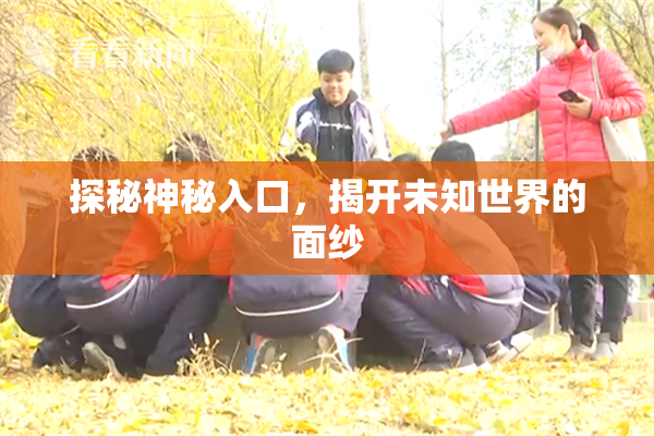 探秘神秘入口，揭开未知世界的面纱