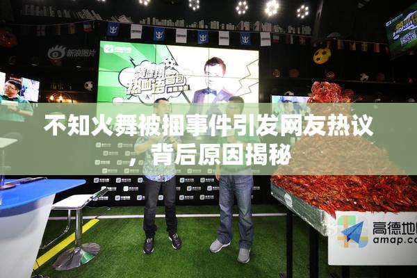 不知火舞被捆事件引发网友热议，背后原因揭秘