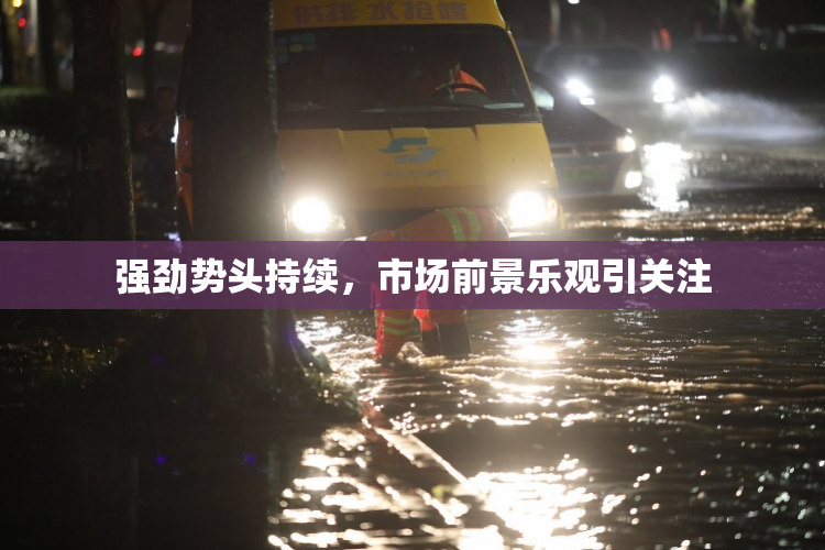 强劲势头持续，市场前景乐观引关注