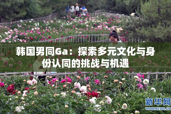 韩国男同Ga：探索多元文化与身份认同的挑战与机遇