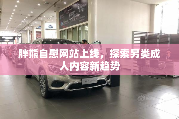 胖熊自慰网站上线，探索另类成人内容新趋势