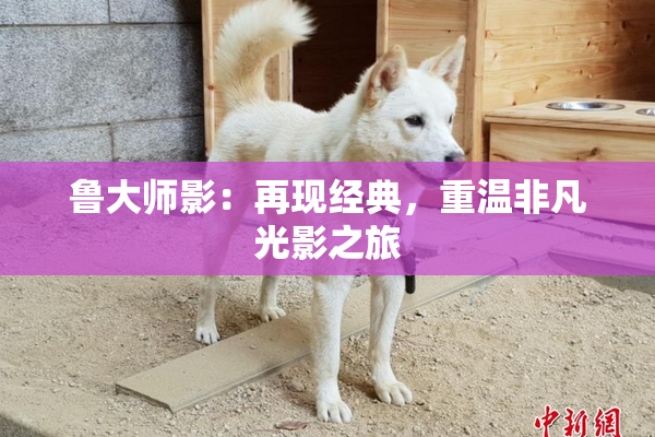 鲁大师影：再现经典，重温非凡光影之旅