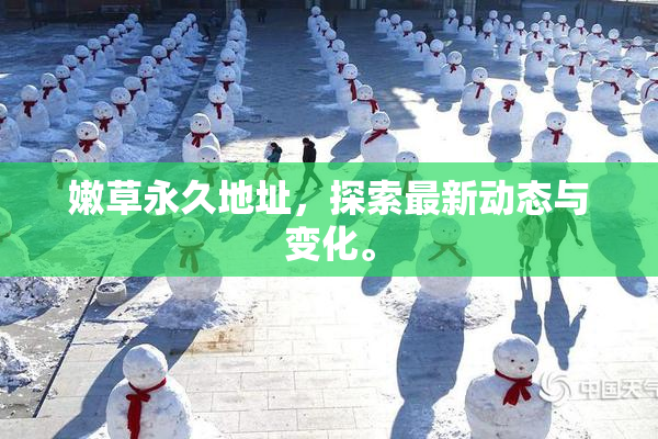 嫩草永久地址，探索最新动态与变化。