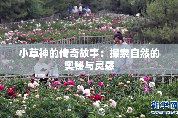 小草神的传奇故事：探索自然的奥秘与灵感