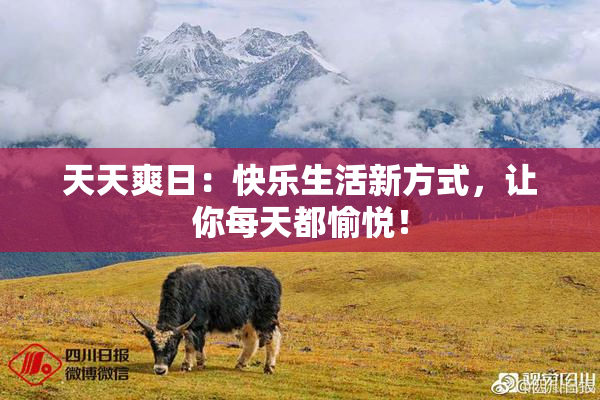 天天爽日：快乐生活新方式，让你每天都愉悦！