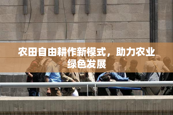 农田自由耕作新模式，助力农业绿色发展