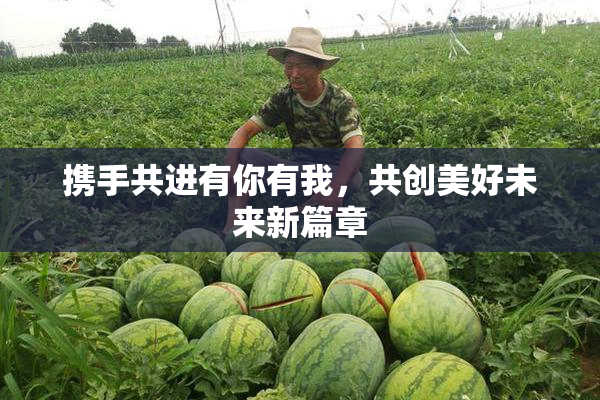 携手共进有你有我，共创美好未来新篇章