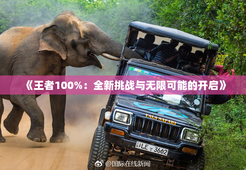 《王者100%：全新挑战与无限可能的开启》