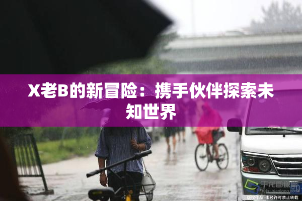 X老B的新冒险：携手伙伴探索未知世界