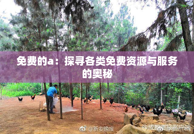 免费的a：探寻各类免费资源与服务的奥秘