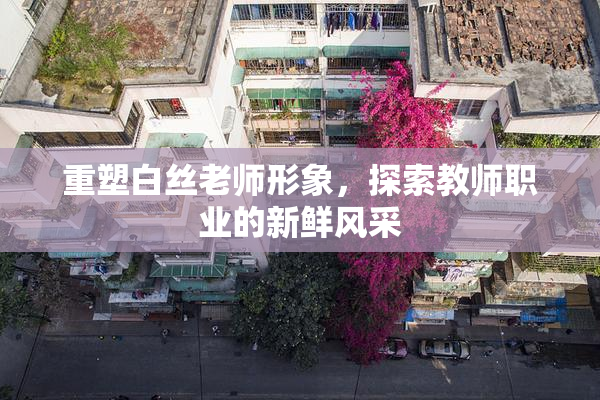 重塑白丝老师形象，探索教师职业的新鲜风采