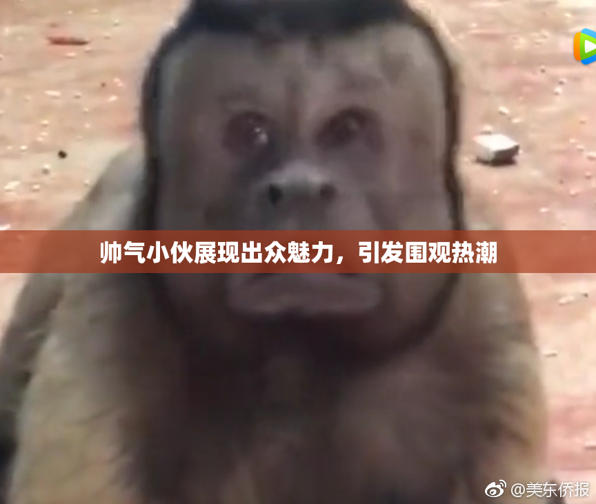帅气小伙展现出众魅力，引发围观热潮