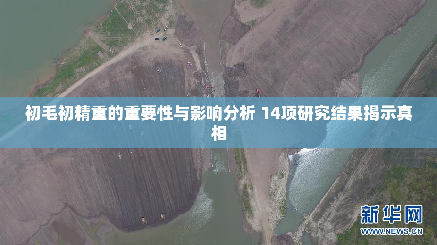 初毛初精重的重要性与影响分析 14项研究结果揭示真相