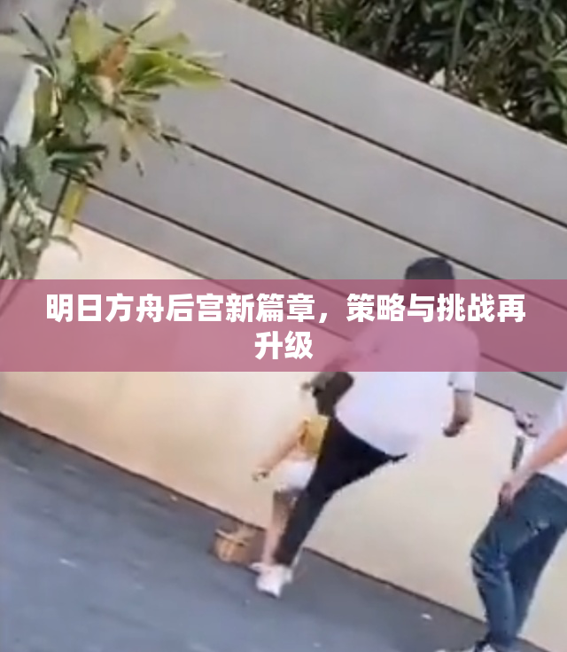 明日方舟后宫新篇章，策略与挑战再升级