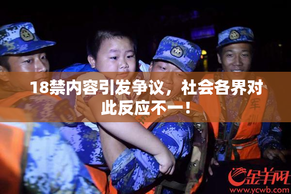 18禁内容引发争议，社会各界对此反应不一！