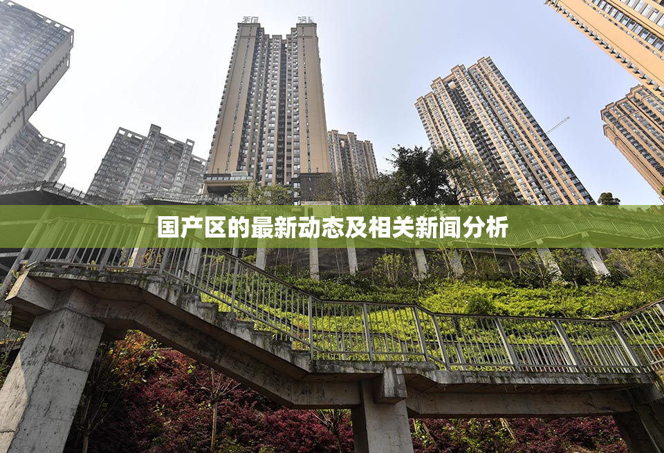 国产区的最新动态及相关新闻分析