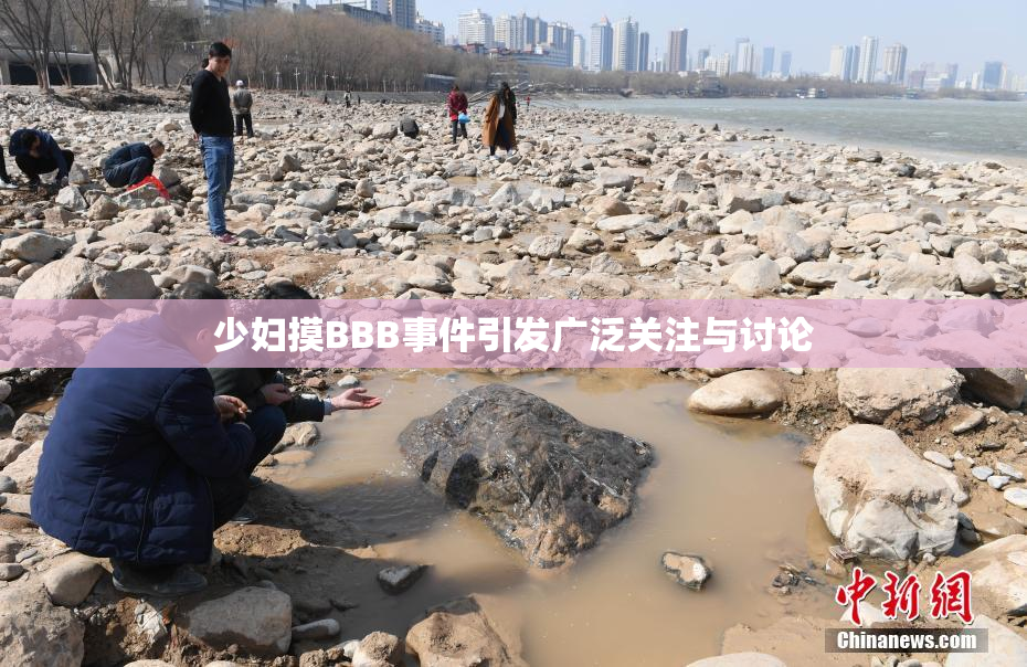 少妇摸BBB事件引发广泛关注与讨论