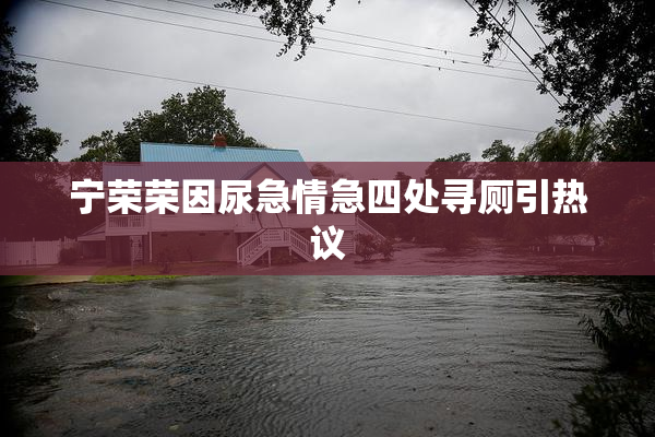 宁荣荣因尿急情急四处寻厕引热议
