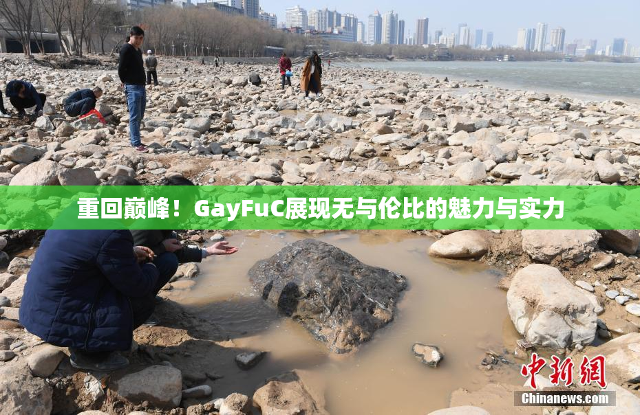重回巅峰！GayFuC展现无与伦比的魅力与实力