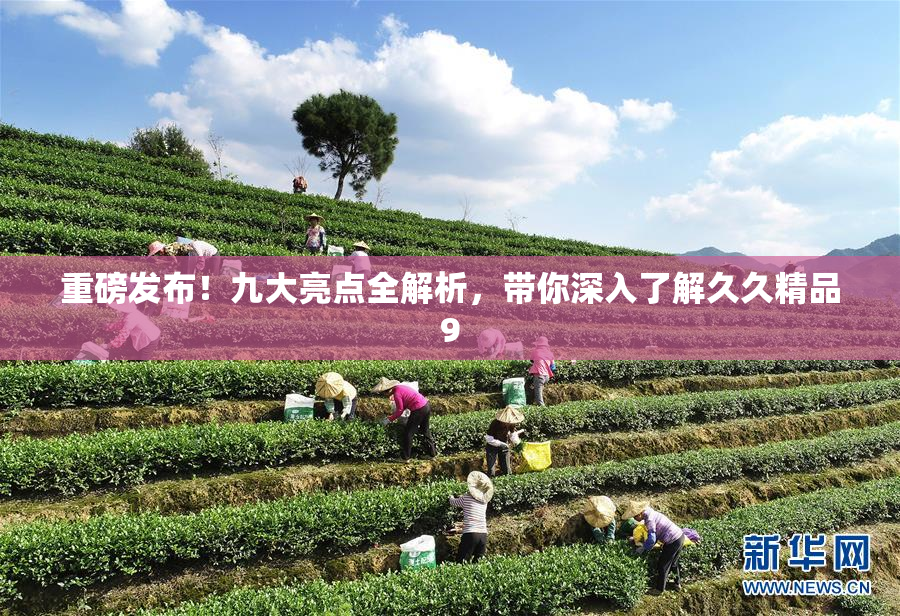 重磅发布！九大亮点全解析，带你深入了解久久精品9