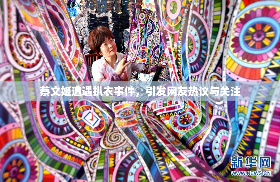 蔡文姬遭遇扒衣事件，引发网友热议与关注