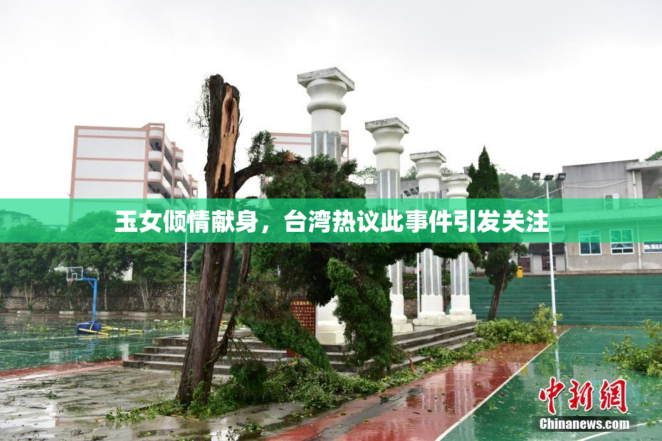 玉女倾情献身，台湾热议此事件引发关注