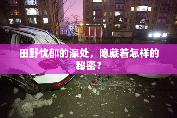 田野忧郁的深处，隐藏着怎样的秘密？