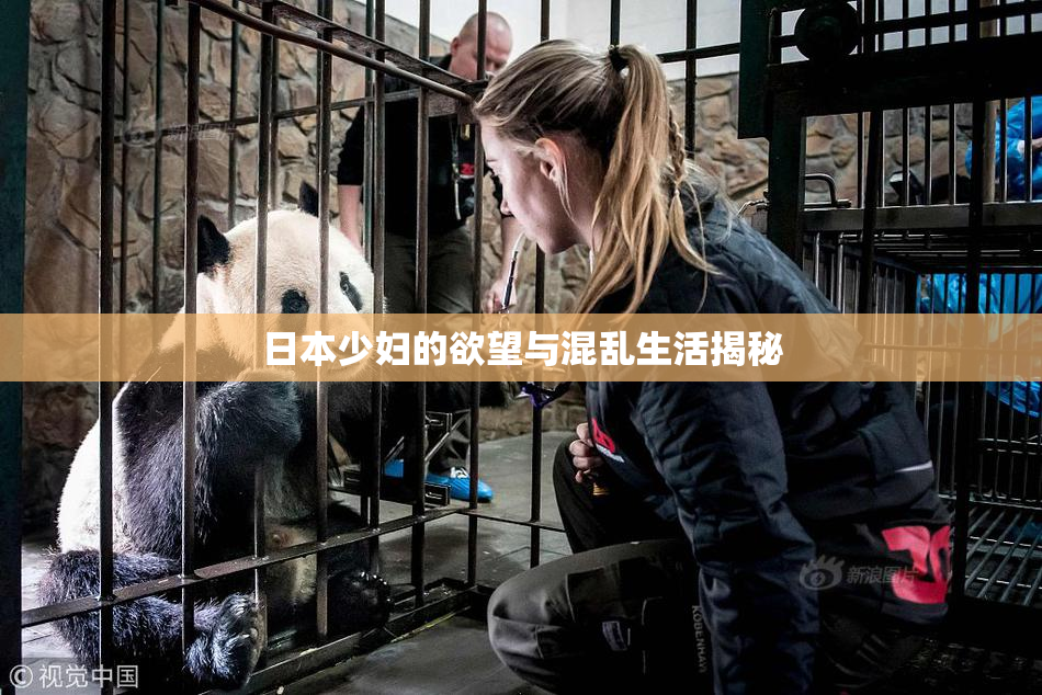 日本少妇的欲望与混乱生活揭秘