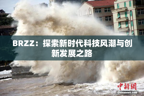 BRZZ：探索新时代科技风潮与创新发展之路