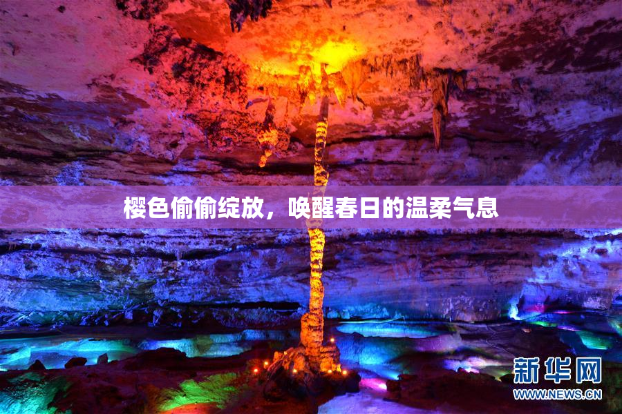 樱色偷偷绽放，唤醒春日的温柔气息