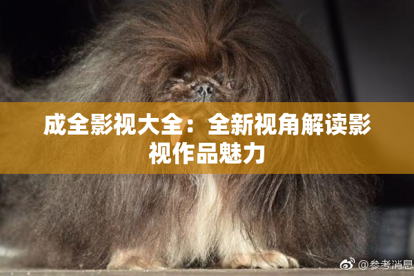 成全影视大全：全新视角解读影视作品魅力