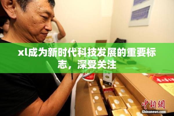 xl成为新时代科技发展的重要标志，深受关注