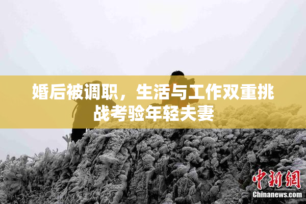 婚后被调职，生活与工作双重挑战考验年轻夫妻