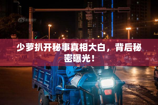 少萝扒开秘事真相大白，背后秘密曝光！