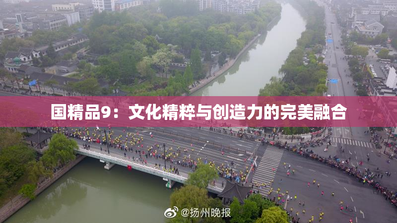 国精品9：文化精粹与创造力的完美融合