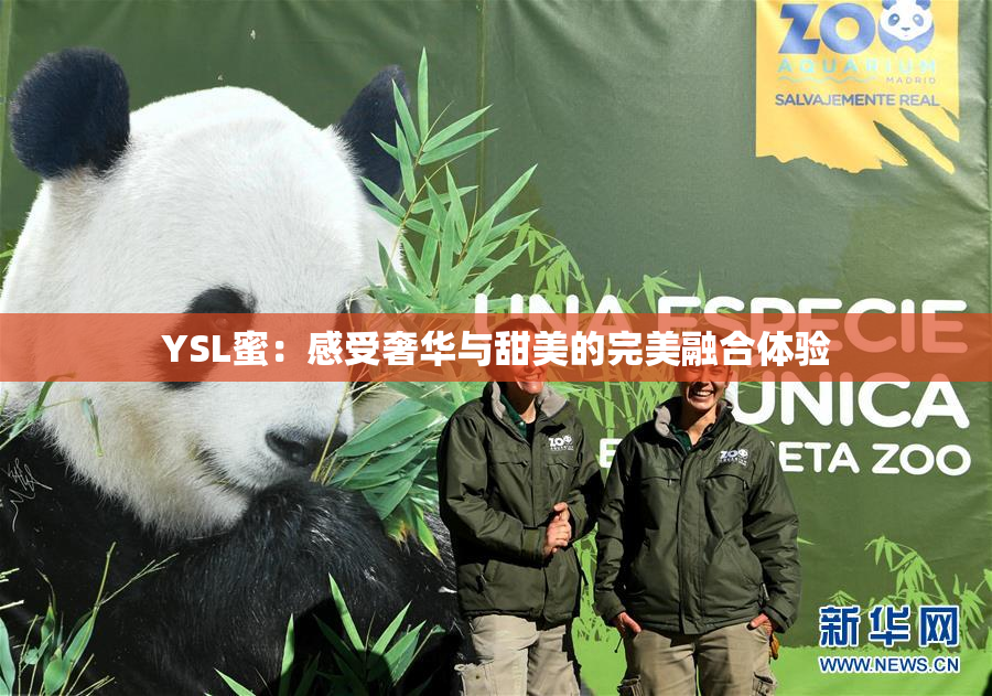 YSL蜜：感受奢华与甜美的完美融合体验