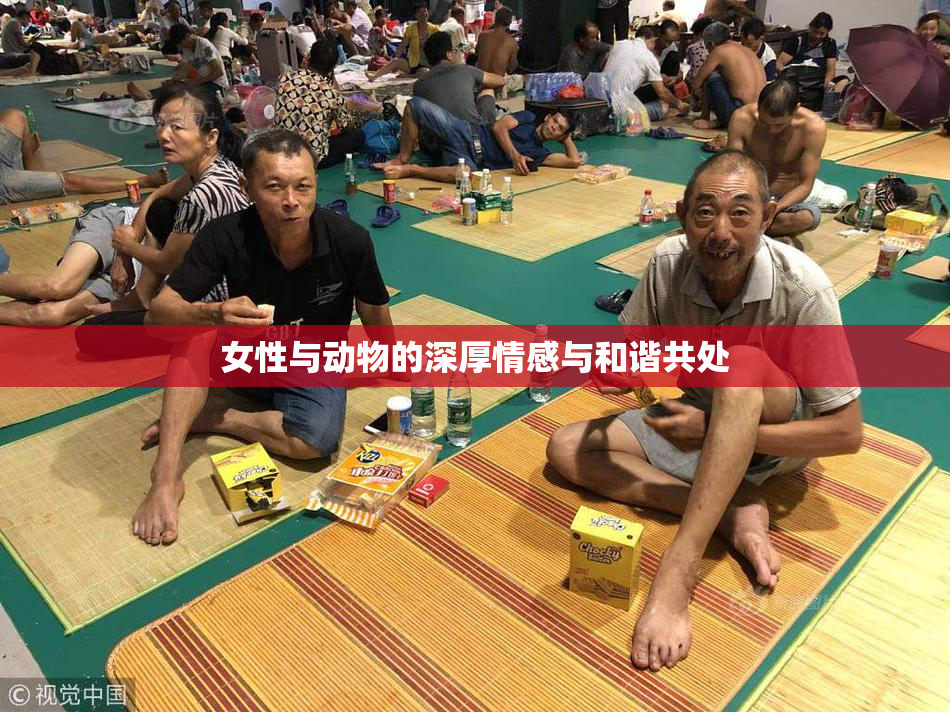 女性与动物的深厚情感与和谐共处