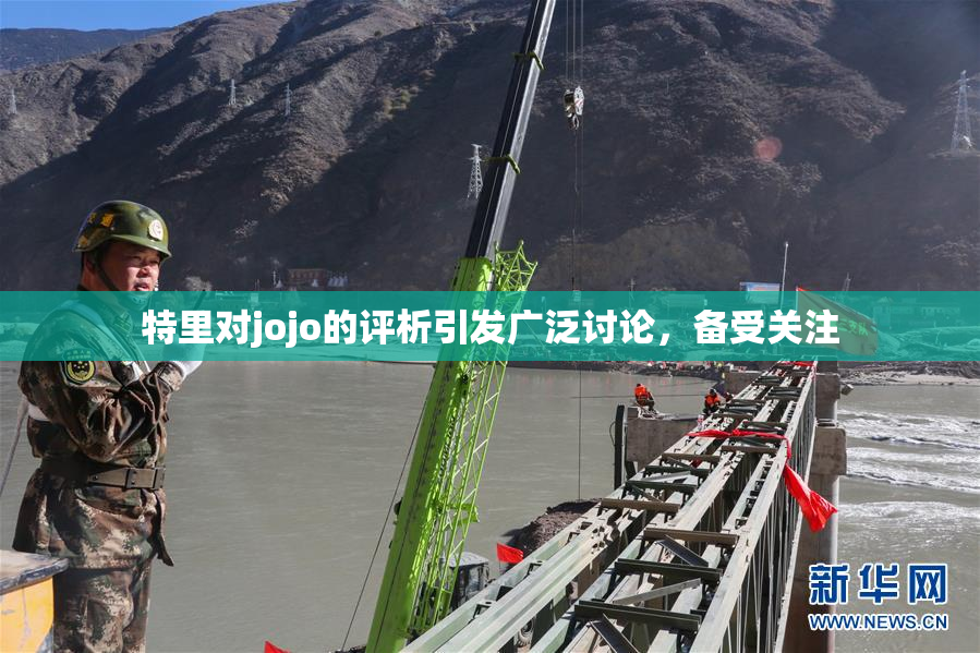 特里对jojo的评析引发广泛讨论，备受关注