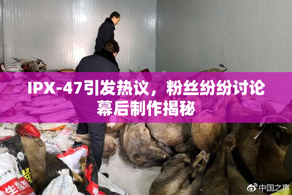 IPX-47引发热议，粉丝纷纷讨论幕后制作揭秘