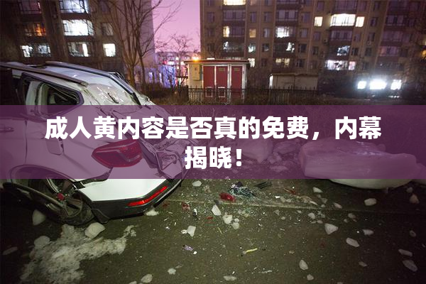 成人黄内容是否真的免费，内幕揭晓！
