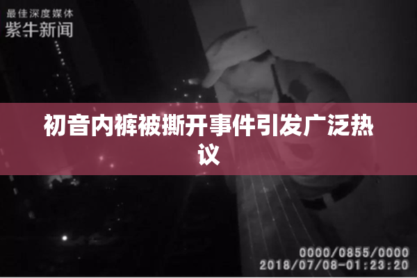初音内裤被撕开事件引发广泛热议