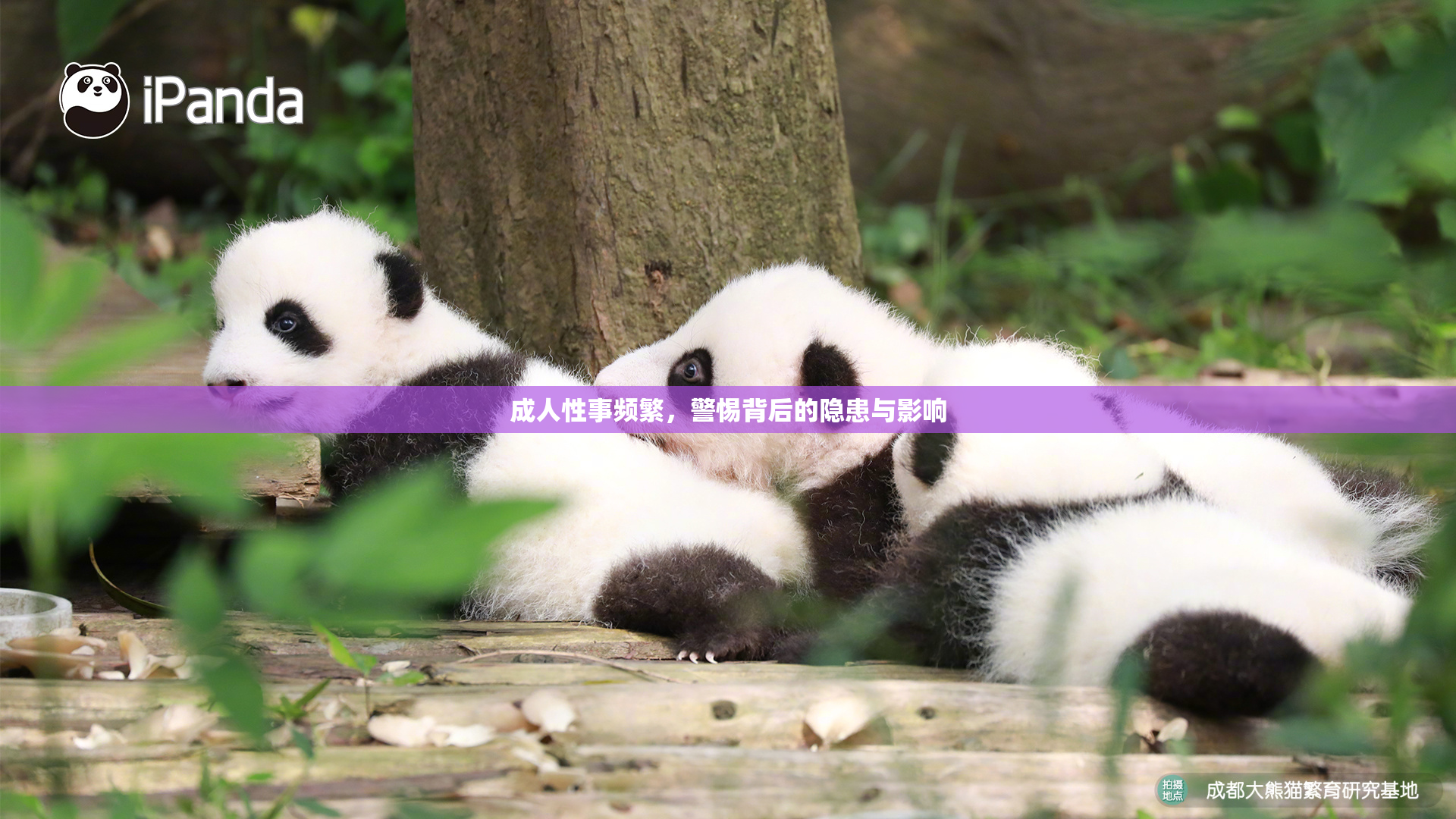 成人性事频繁，警惕背后的隐患与影响