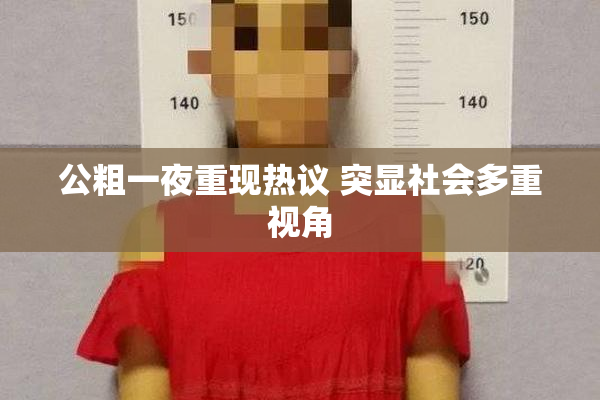 公粗一夜重现热议 突显社会多重视角