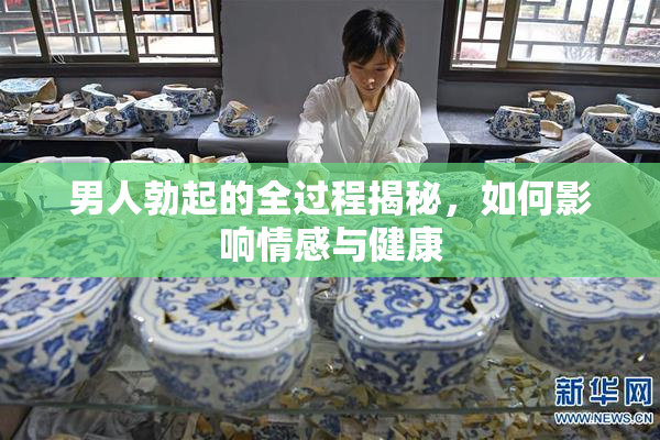 男人勃起的全过程揭秘，如何影响情感与健康
