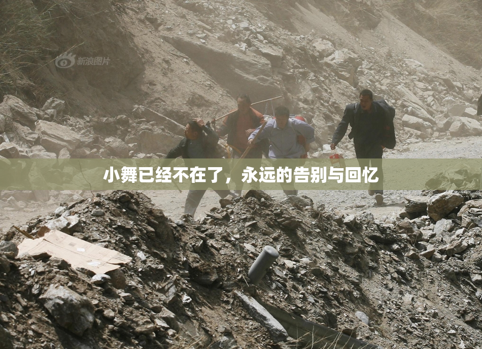 小舞已经不在了，永远的告别与回忆