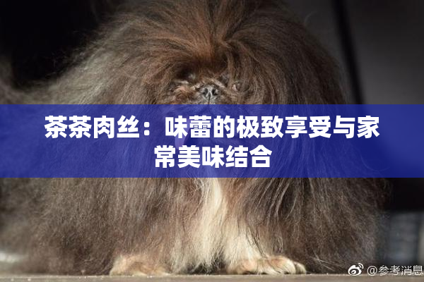 茶茶肉丝：味蕾的极致享受与家常美味结合