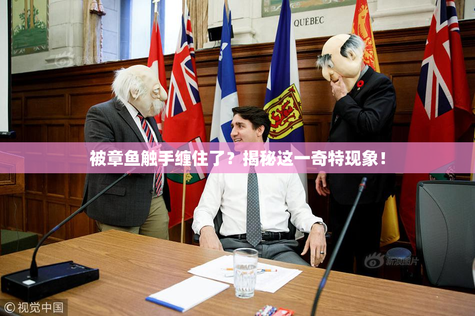 被章鱼触手缠住了？揭秘这一奇特现象！