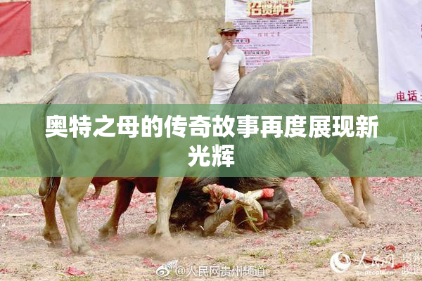 奥特之母的传奇故事再度展现新光辉